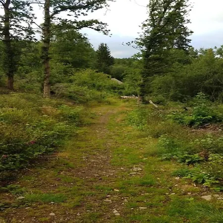 Сasa de vacaciones Charming With Private Pool *