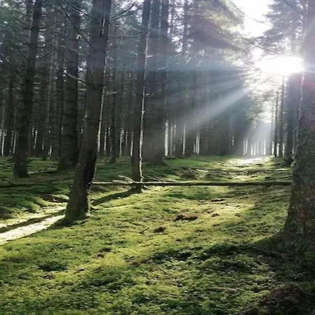 Сasa de vacaciones Charming With Private Pool Hautefort