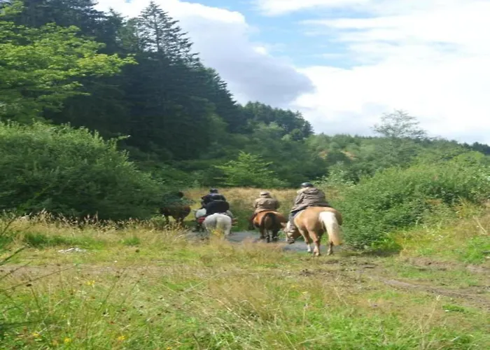 Charming With Private Pool Feriehus