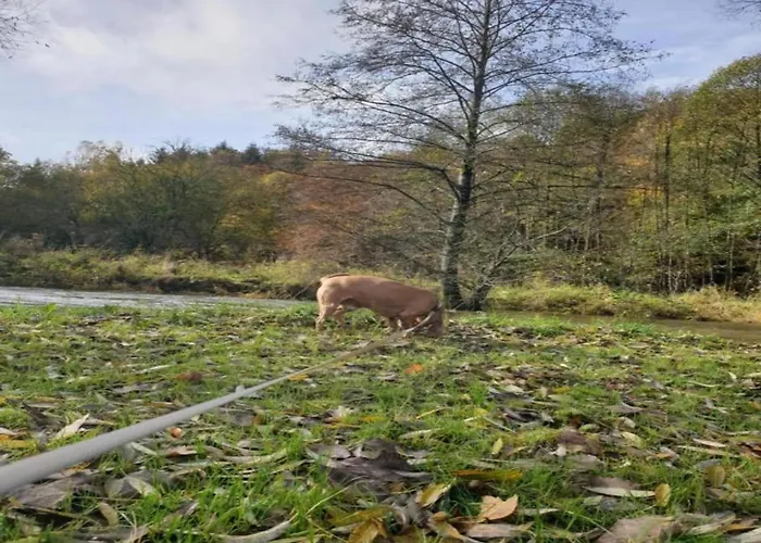 Feriehus Charming With Private Pool