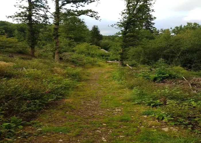 Feriehus Charming With Private Pool *