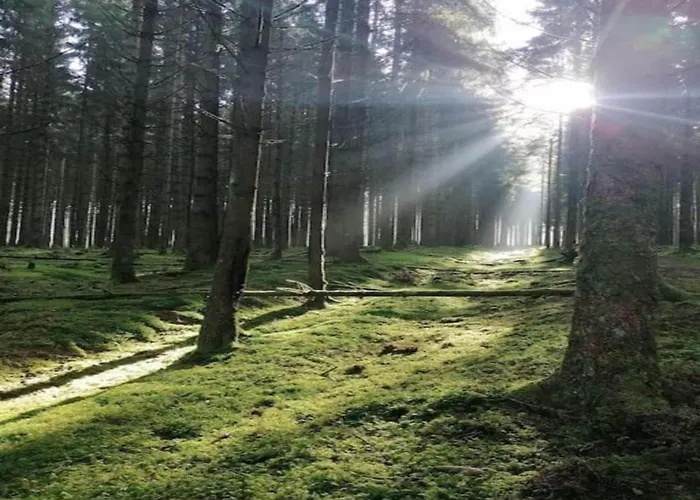 Feriehus Charming With Private Pool Hautefort